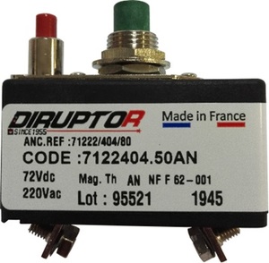 DIRUPTOR 单极断路器 7100系列 - 7112104 20T