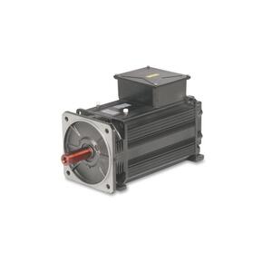 OEMER Motori elettrici AC asynchronous motor LQ Series - LQ 160X