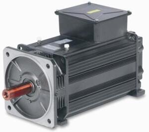 OEMER Motori elettrici AC asynchronous motor LQ Series - LQ 132L