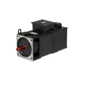 OEMER Motori elettrici AC synchronous motor QSR Series - QSR 225L