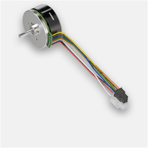 Maxon motor Brushless DC motors EC flat Series - 339258